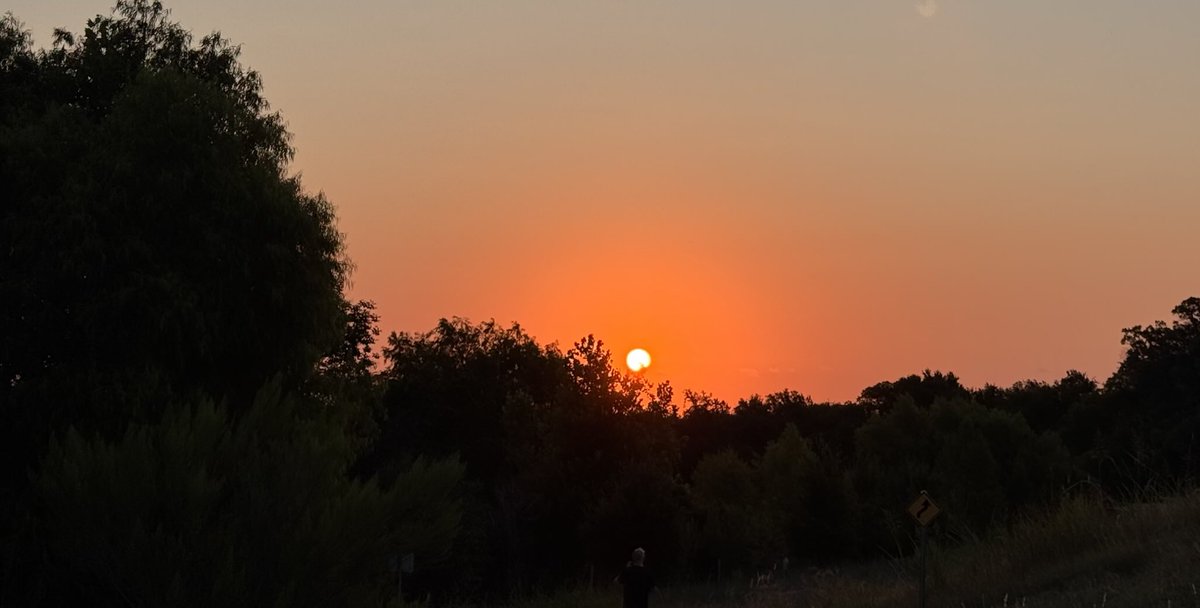 sudha_m_reddy's tweet image. It’s a great day when you spot these two beauties within 10mins of each other…