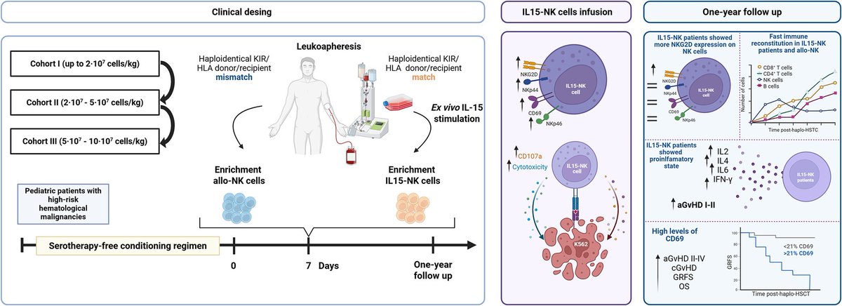 Waggoner Lab (@labwaggoner) on Twitter photo Ex Vivo IL-15-Stimulated NK Cells as Adoptive Cell Therapy in Haploidentical Transplantation for Pediatric Leukemia <a href="/AjHematology/">AmericanJournalofHematology</a> <a href="/antonioper_mar/">AntonioPérezMartínez</a> <a href="/L4CLaPaz/">L4CLaPaz</a>
onlinelibrary.wiley.com/doi/10.1002/aj… Ex Vivo IL-15-Stimulated NK Cells as Adoptive Cell Therapy in Haploidentical Transplantation for Pediatric Leukemia <a href="/AjHematology/">AmericanJournalofHematology</a> <a href="/antonioper_mar/">AntonioPérezMartínez</a> <a href="/L4CLaPaz/">L4CLaPaz</a>
onlinelibrary.wiley.com/doi/10.1002/aj…