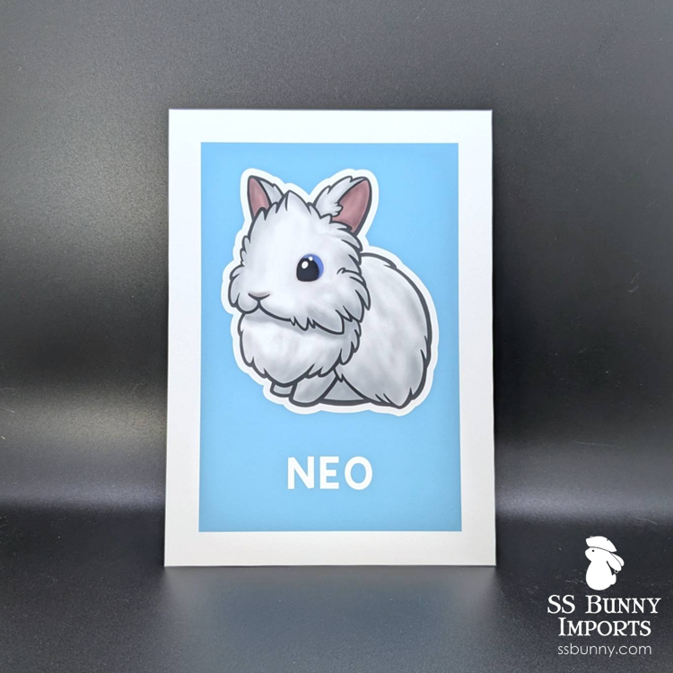 SSBunnyImports's tweet photo. I had a big brain moment and finally got around to using my coding skills to make a bot to generate our custom prints and other items instead of editing them all by hand. Sooo much time saved! #ssbunnyimports https://t.co/M27vxZSYlE