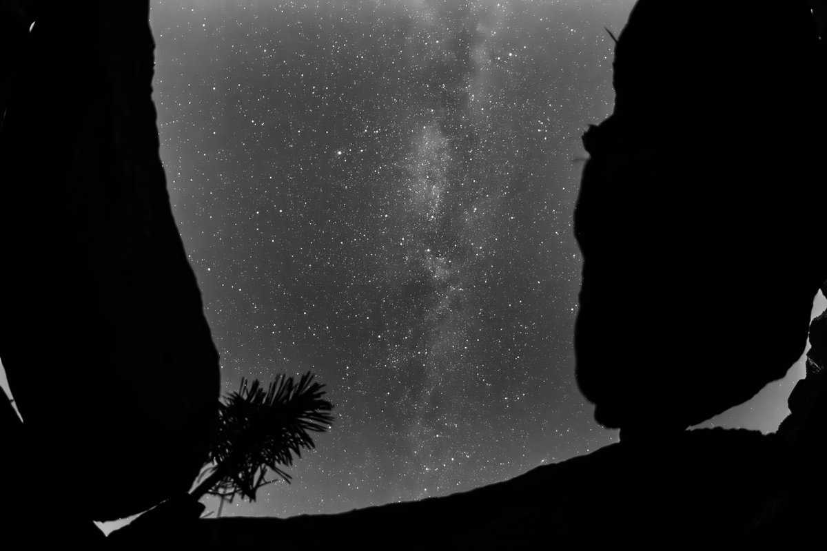 Adrian Golemis tweet media