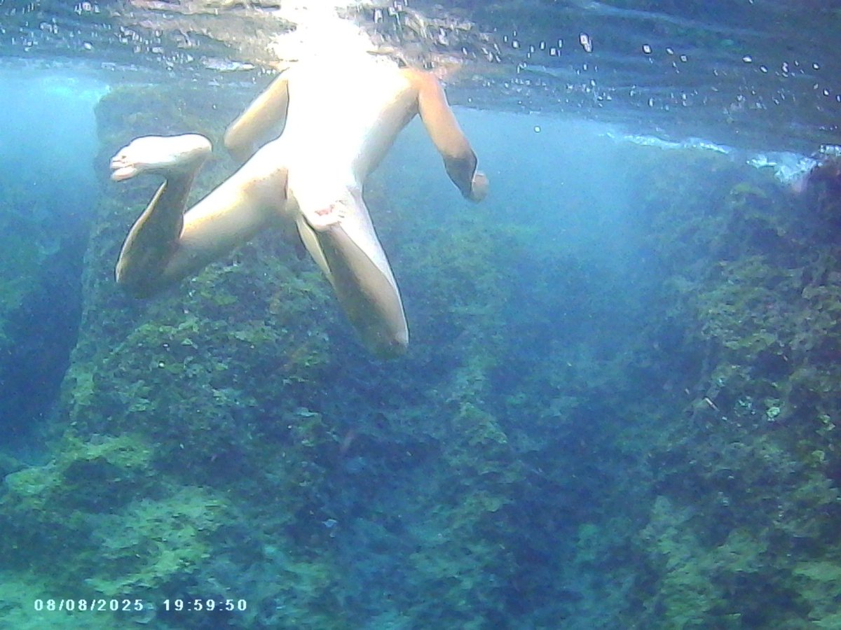 Μυστικά που δεν φτάνουν στην επιφάνεια 🤫🌊