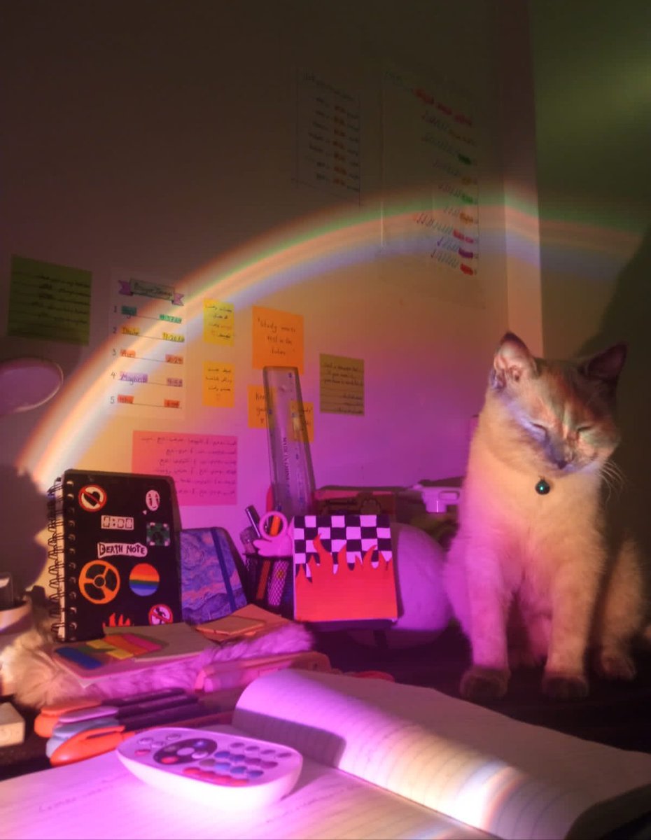 zinah𓂆 tweet media