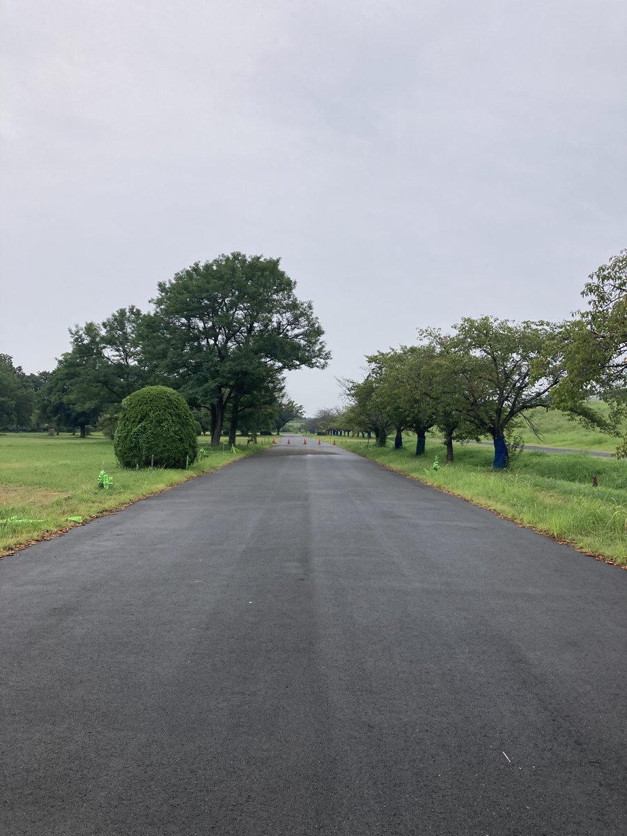 おはようございます！24℃☔️ 
午前中はもしかしたら…と思っていたのですが、朝からあいにくの雨☔️
せっかくのお休みですが、今日はご利用が難しそうです😭
安全第一でお過ごしください⛑️