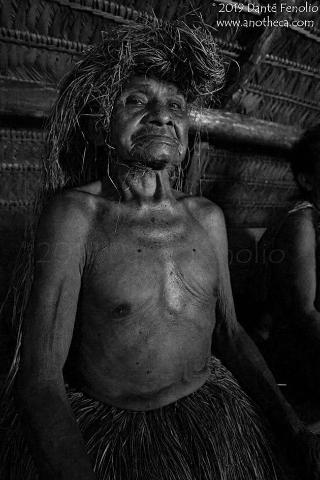 Danté Fenolio, Ph.D. tweet media