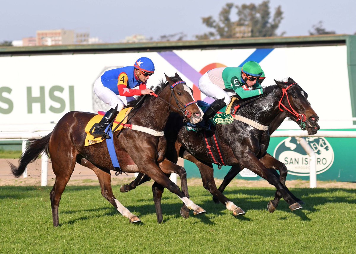 ✅ Las 16 pruebas sabatinas dejaron una recaudación de $ 732.906.039.-, con un promedio por carrera de $ 45.806.627.-