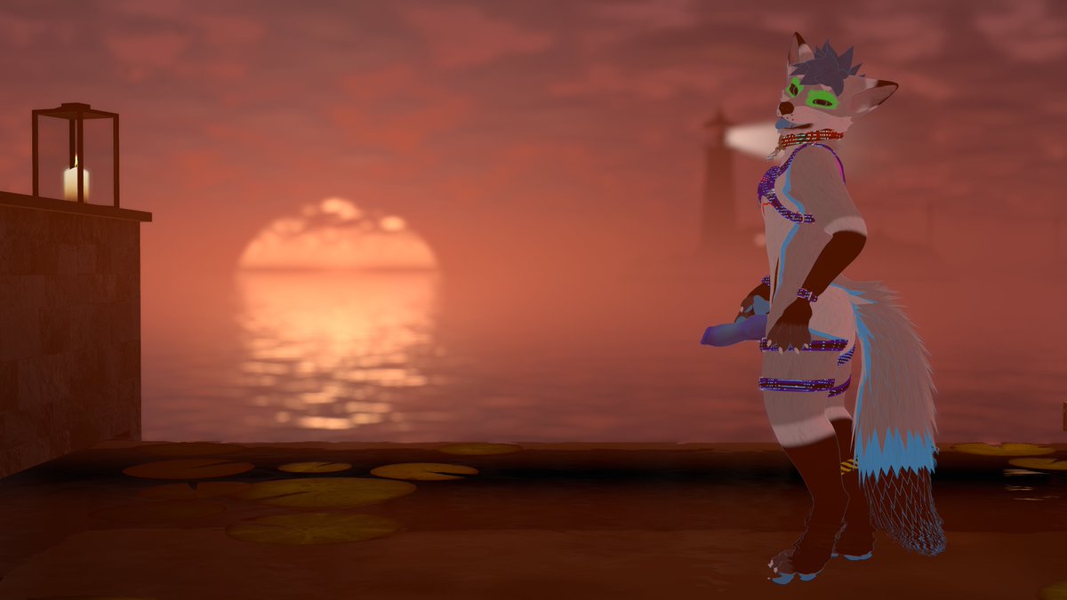 dark dog area tweet media