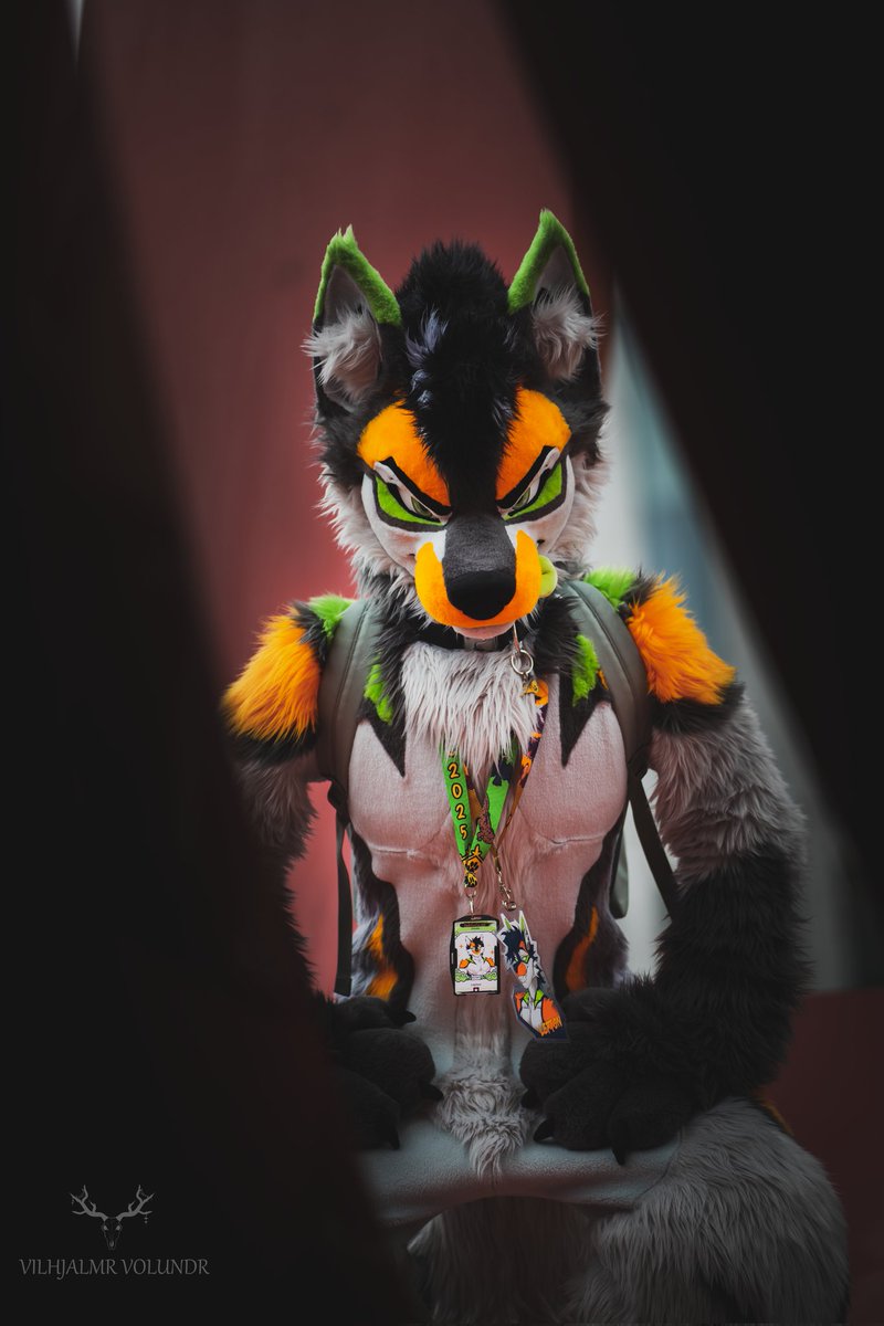 Hard to just choose 4.
But here are some of the best i taken

📷 Photographers, show some of YOUR OWN favorite work! 📷

Suiters: <a href="/Viribus97/">Viribus</a>
<a href="/Wolfspawn1/">Wolfspawn</a> <a href="/Tsumef4n/">Tsume</a> <a href="/dumbangrydog/">Lepton 🐺 🔜 MP</a>