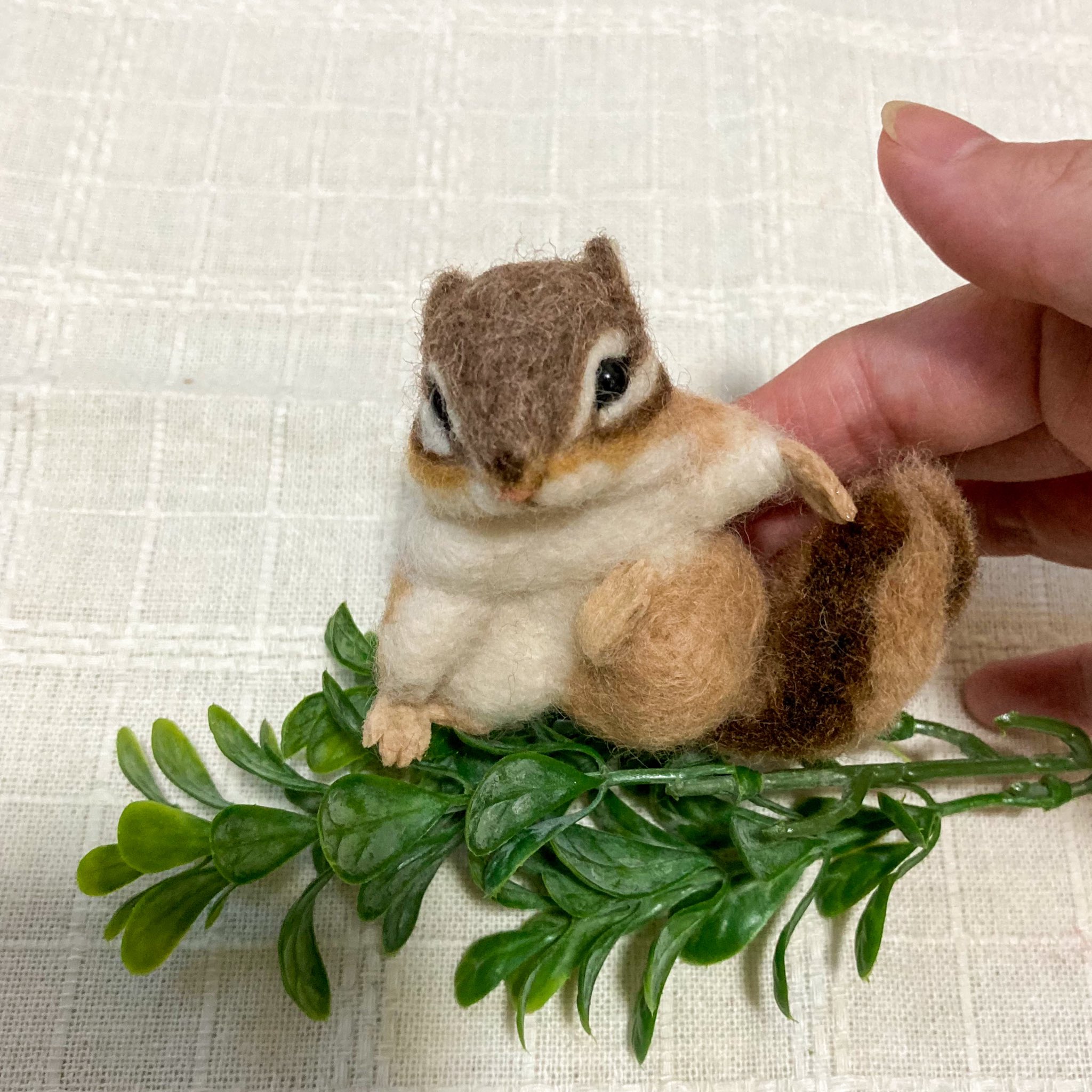 アトリエヌップ🌱 on X: 