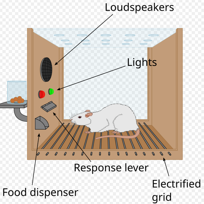 velstorm tweet media