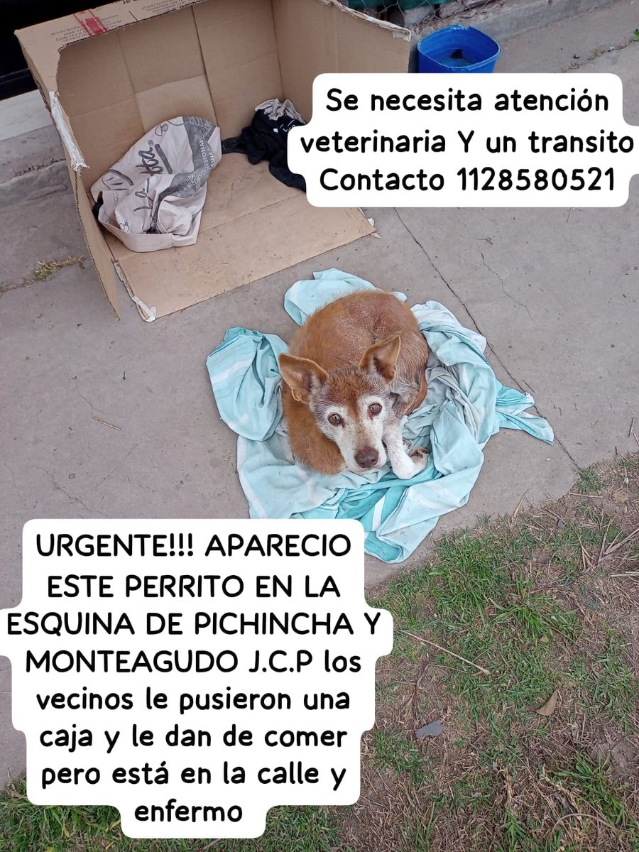 Difundimos