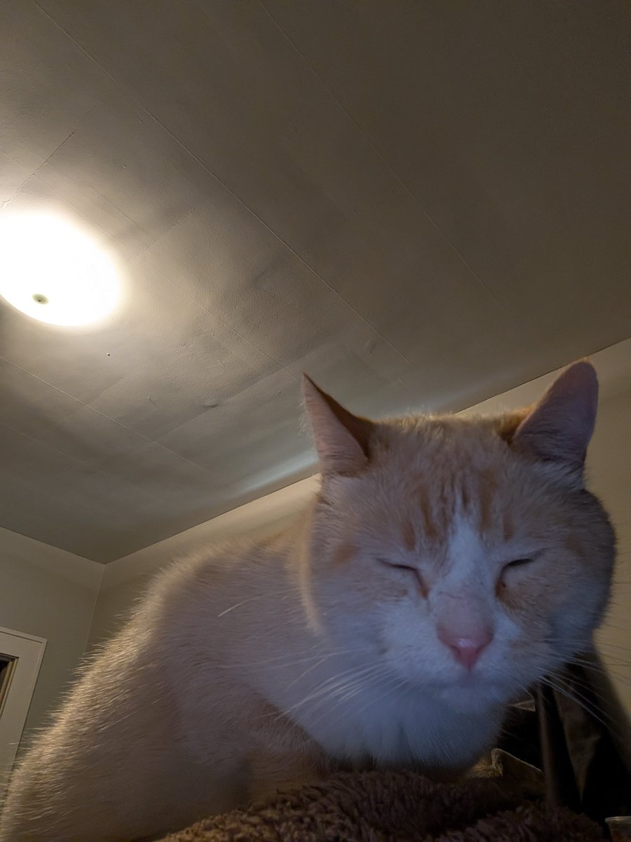 Laying on mommy's back because it's nap time