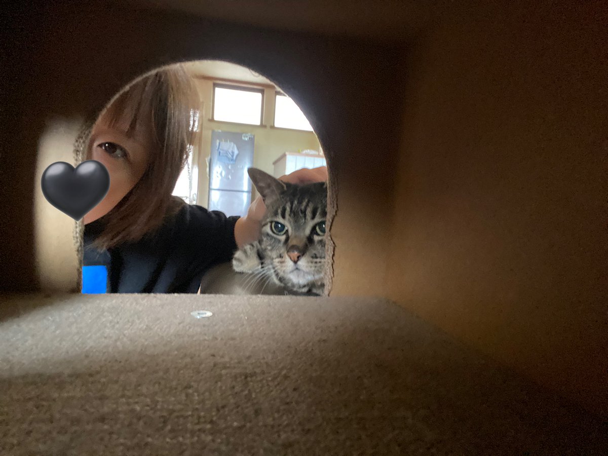 in実家🍆

(さばみは寝ぼすけ)