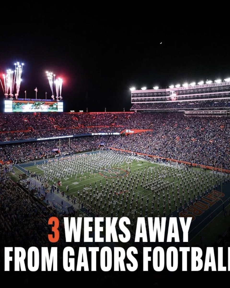 🧡💙🧡💙🐊🐊🐊🐊