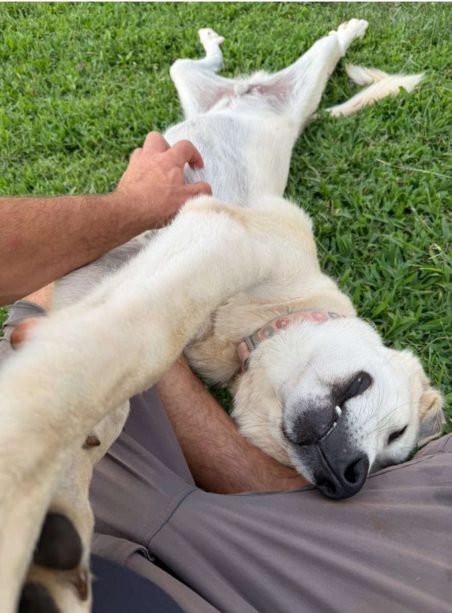 I know someone that had a nice relaxing day.