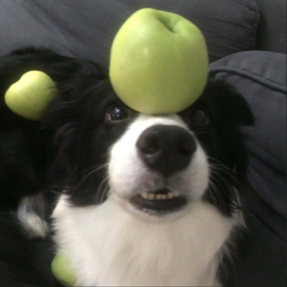My mom is the only person legally allowed to call me a good boy 😠
