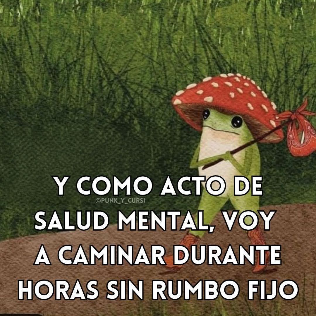 nacional_memes's tweet image. 