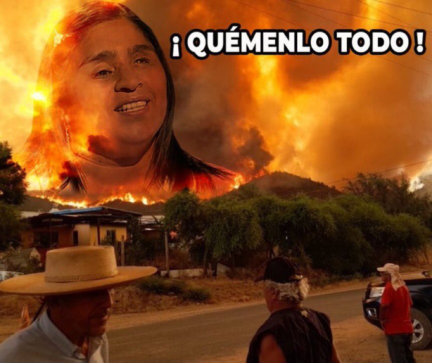 Carola 🇨🇱 ✠ ⚔️🇩🇪🇪🇸 tweet media