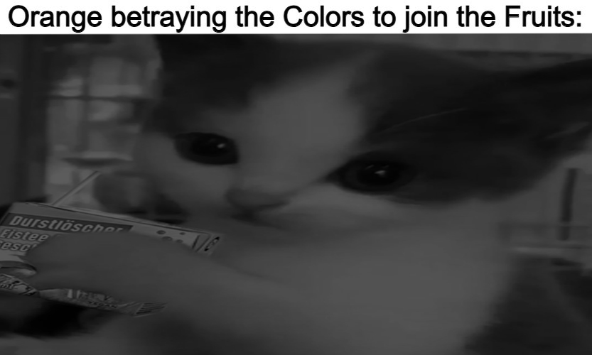 hehe (@hehecat_solana) on Twitter photo 