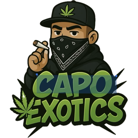 capo_exotics710's tweet photo. Seattle sour kush from Mr spliff going absolutely bonkers !! 🦾 https://t.co/USTOFRzEPu