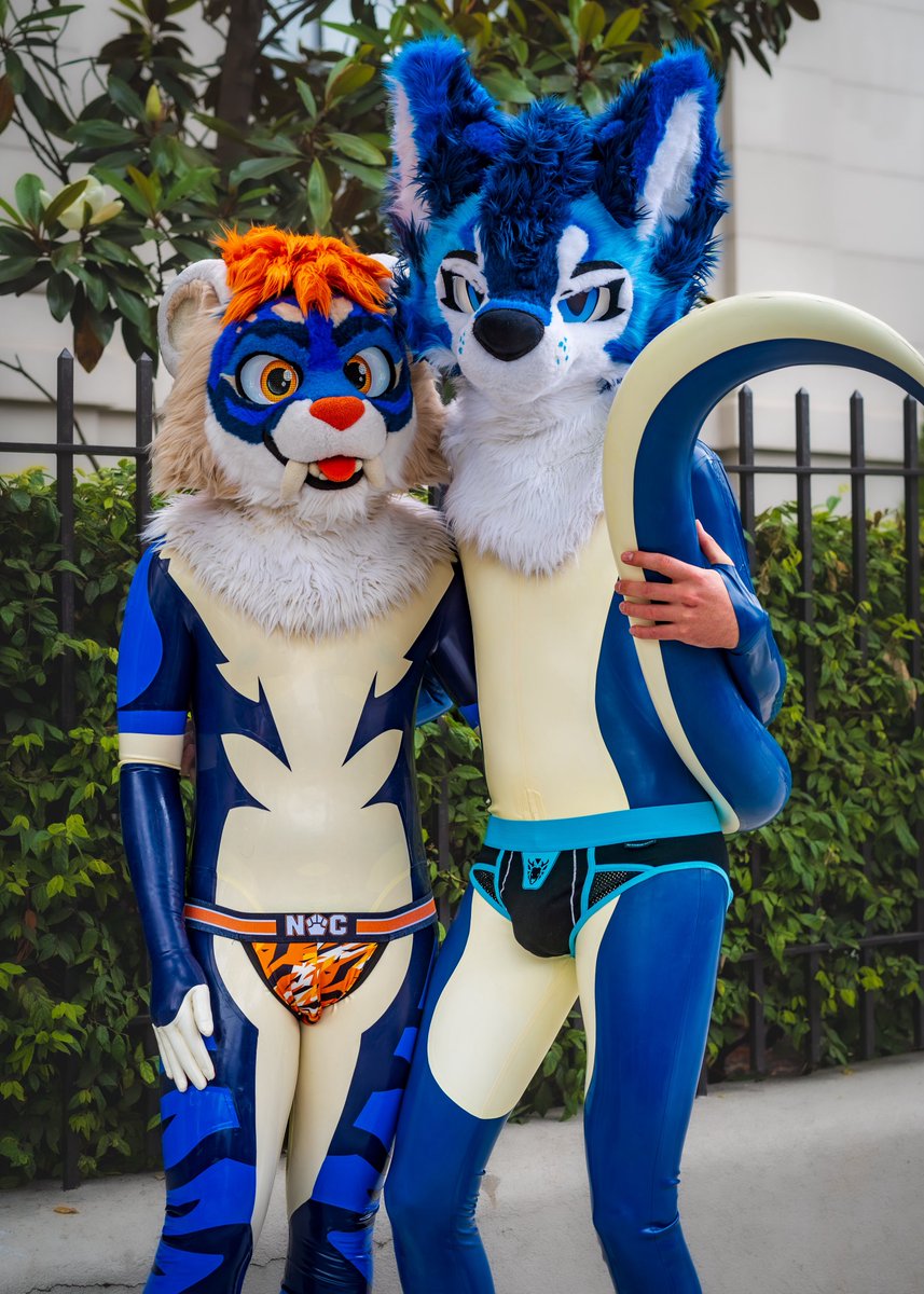Shiny Hoosk ๐ FWA (@skeelshusky) on Twitter photo There are actually no thoughts through their heads โฆ. All brain matter replaced with shiny rubbery goo
๐ธ <a href="/Starburst_Shark/">Starburst Shark๐ฆ</a>
#squeakysaturday
#ShinySaturday There are actually no thoughts through their heads โฆ. All brain matter replaced with shiny rubbery goo
๐ธ <a href="/Starburst_Shark/">Starburst Shark๐ฆ</a>
#squeakysaturday
#ShinySaturday