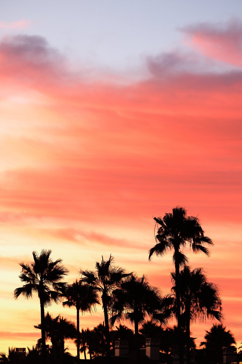 dannysframe's tweet image. I love a good summer sunset in California