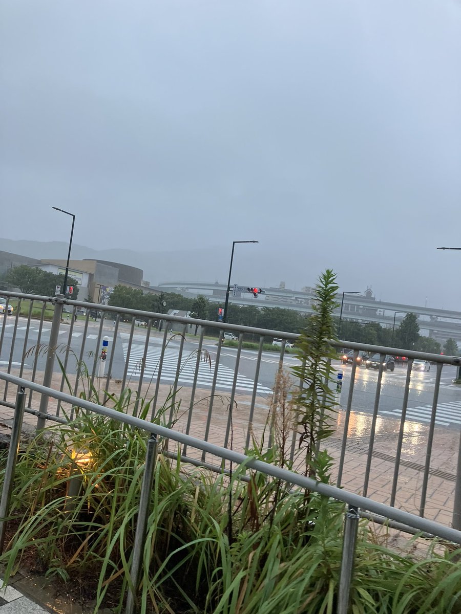 外ヤバイねwww
靴がびしょ濡れ