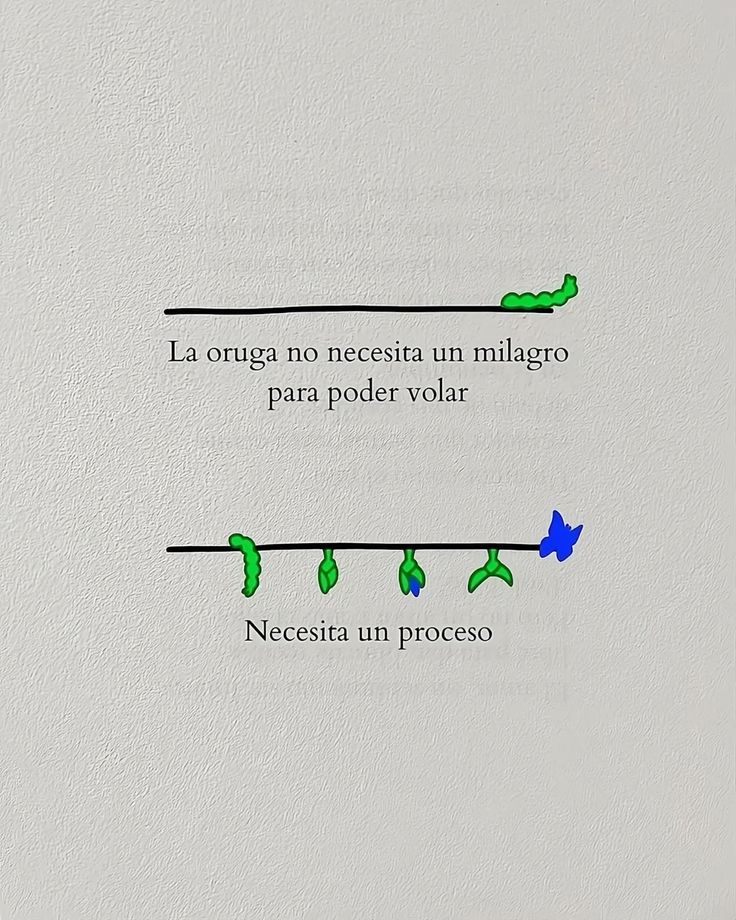 MentalidadFeroz (@mentalidadferoz) on Twitter photo 