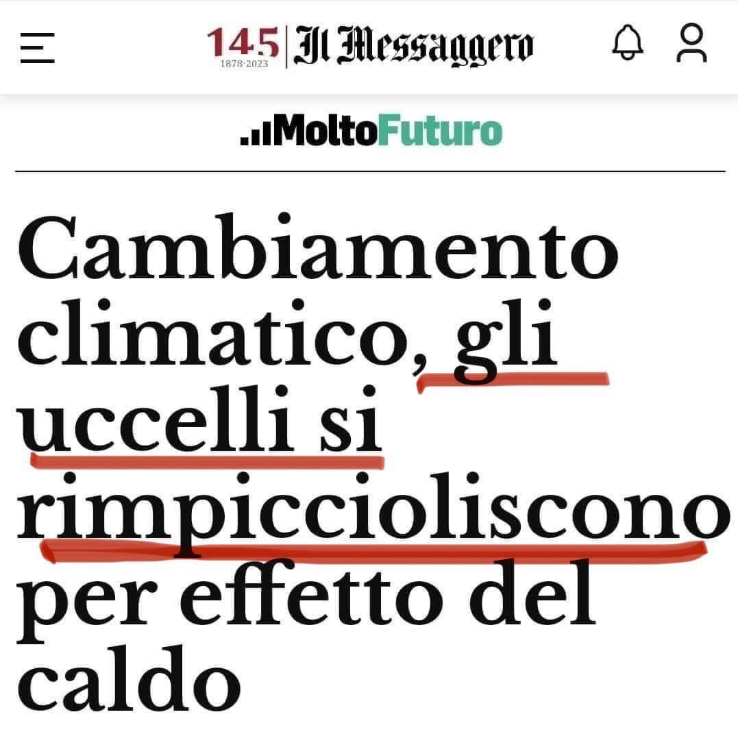 BeatClaudio's tweet image. Ma nn era col freddo che si rimpicciolivano?