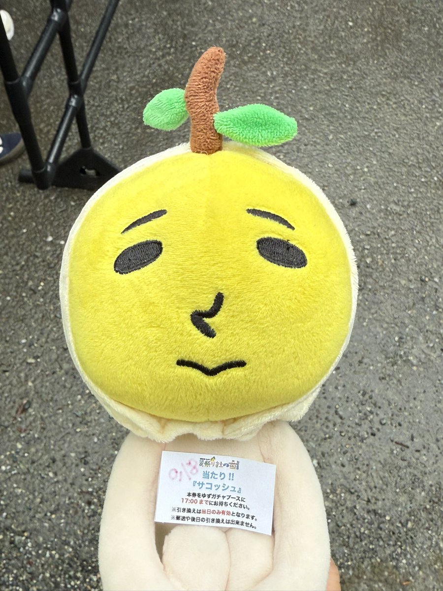 やばいの引いちゃいました😛
#夏祭り杜の音2025