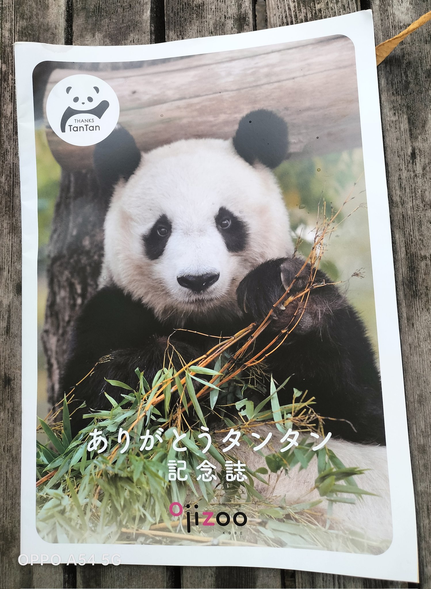 ありがとうタンタン 記念誌　王子動物園 ありがとうタンタン記念誌 王子動物園 - メルカリ