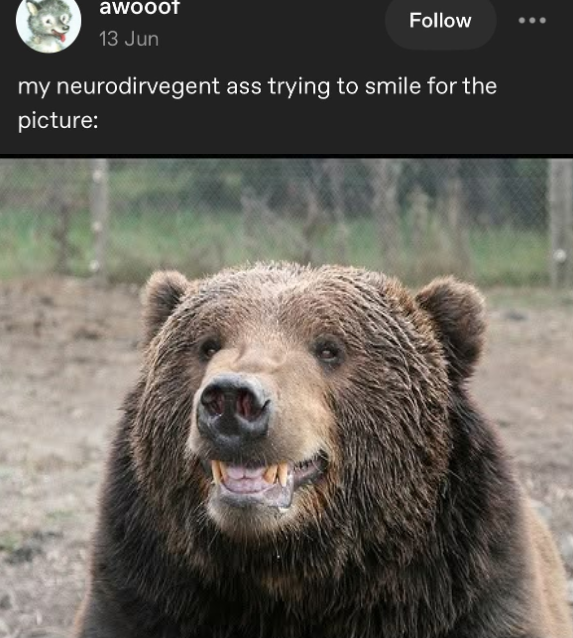 BearyDales (@bearydales) on Twitter photo 