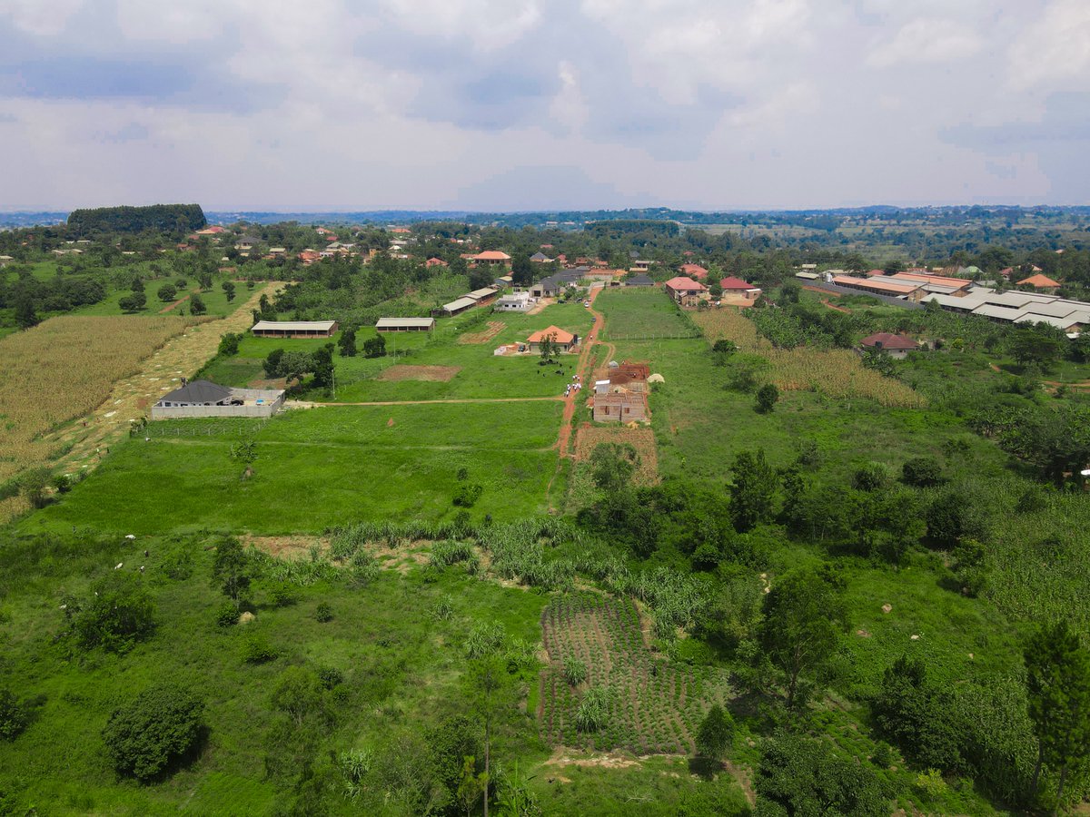 candlelightprop's tweet photo. Gayaza Kiwenda Phase II • UGX 32.5M — Titled 50×100 ft — Estate — Free inspection &amp; title transfer — Flexible payment; diaspora offers available. Call 0393001929 / 0200947161. #LandForSaleUG #OwnLandToday https://t.co/Morr1suno3