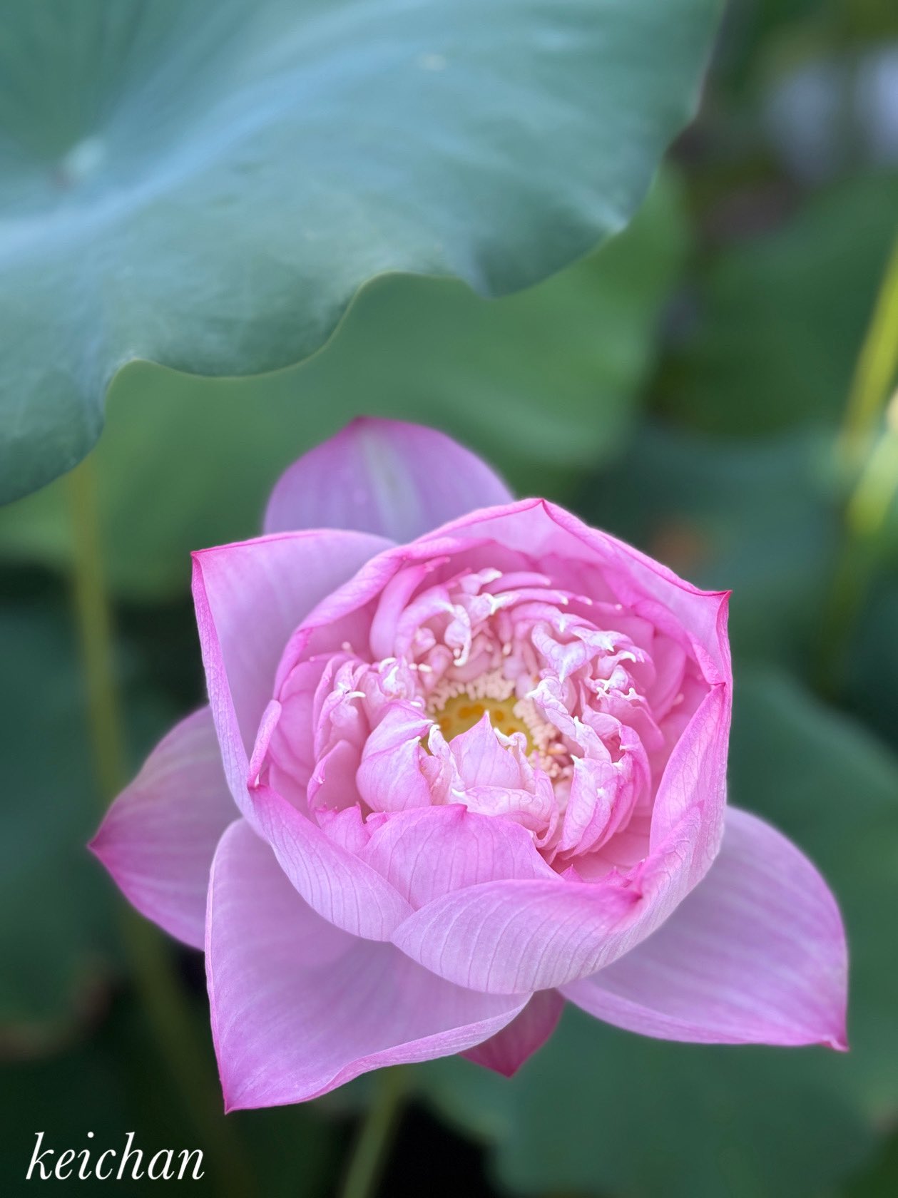 けいちゃん (@k1222_keichan) / X