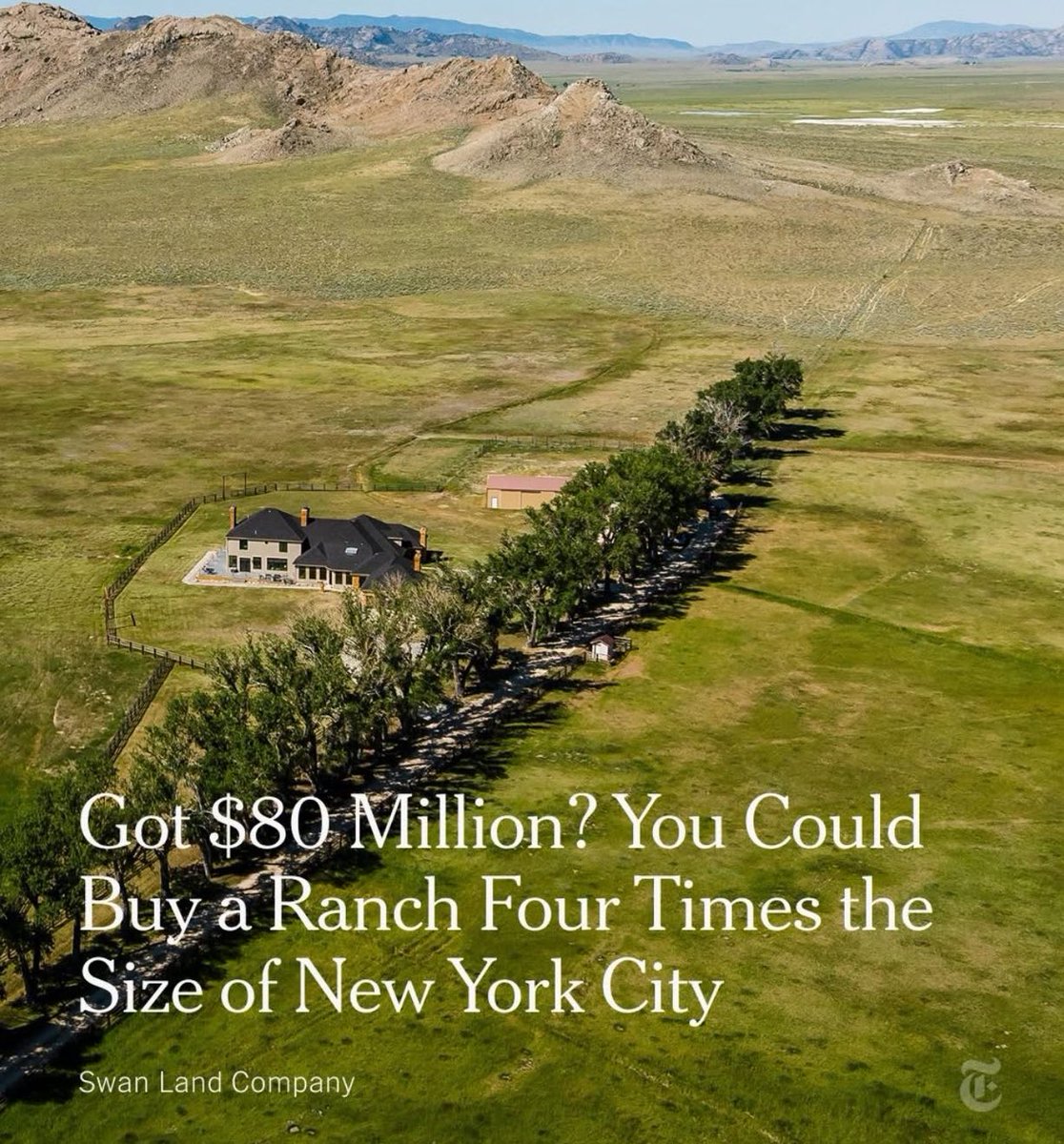 Drew Pavlou 🇦🇺🇺🇸🇺🇦🇹🇼 tweet media