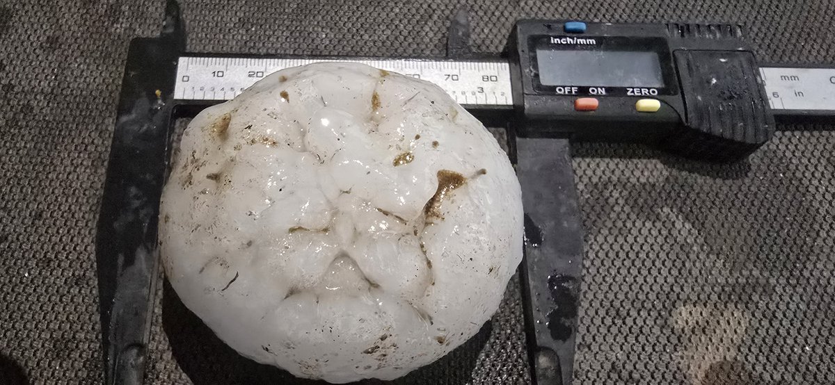 3.8" hail about 11 miles E of Karval,Colorado <a href="/NWSBoulder/">NWS Boulder</a> <a href="/NWSGoodland/">NWS Goodland</a> #cowx