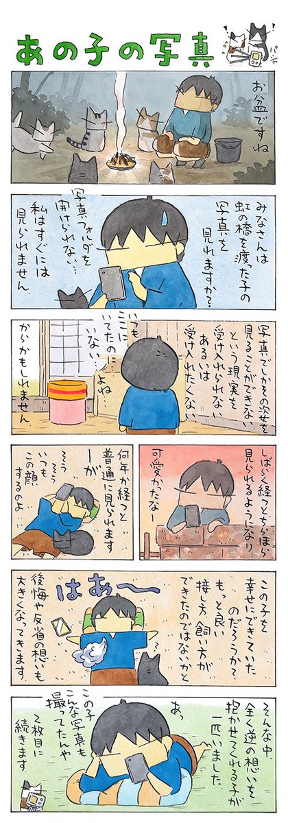 お盆2025│フェリシモ猫部  https://t.co/QE0Yzv8DFn @felissimonekobuより 
