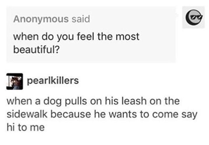 WholesomeMeme tweet picture