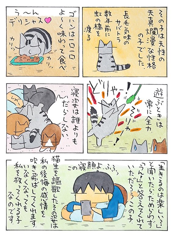 お盆2025│フェリシモ猫部  https://t.co/QE0Yzv8DFn @felissimonekobuより 