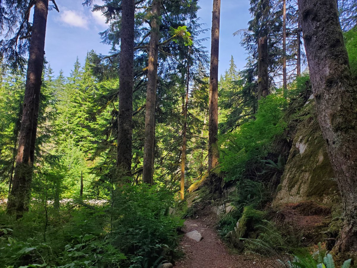 PeterKimData's tweet image. ❤️