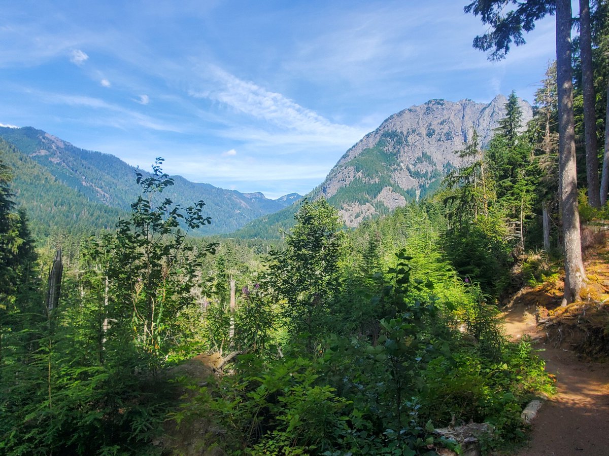 PeterKimData's tweet image. ❤️