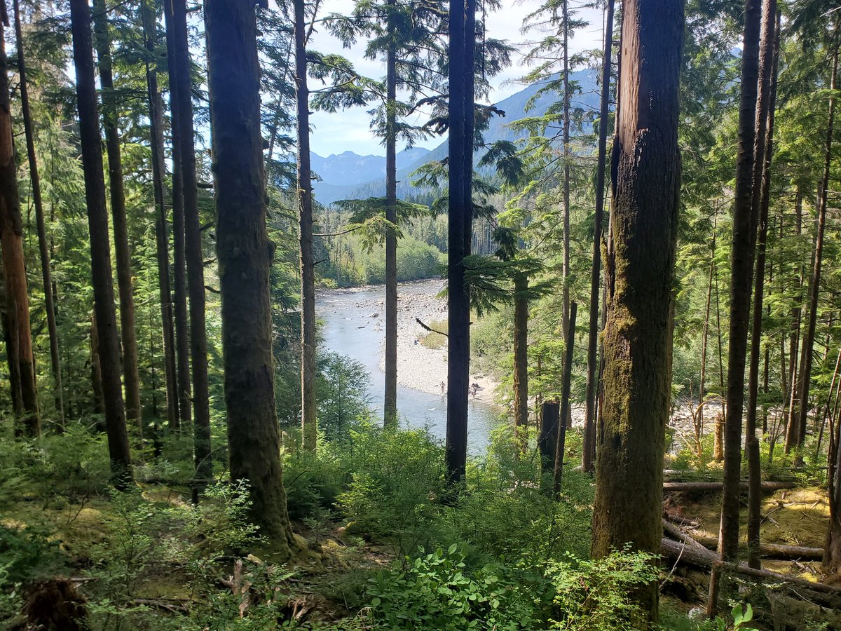 PeterKimData's tweet image. ❤️