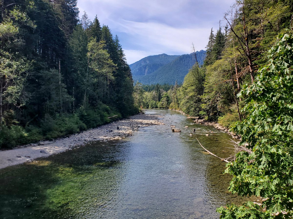 PeterKimData's tweet image. ❤️