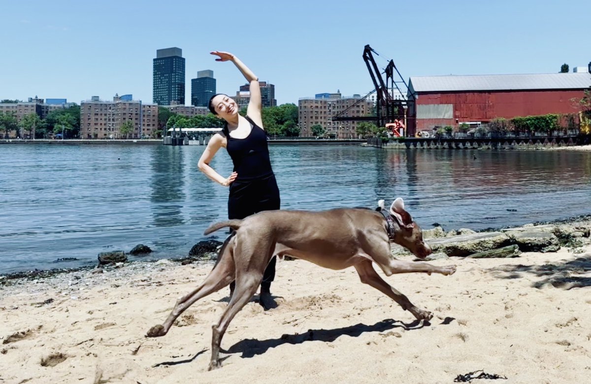 Yukari Osaka (@yukari__osaka) / Posts / X