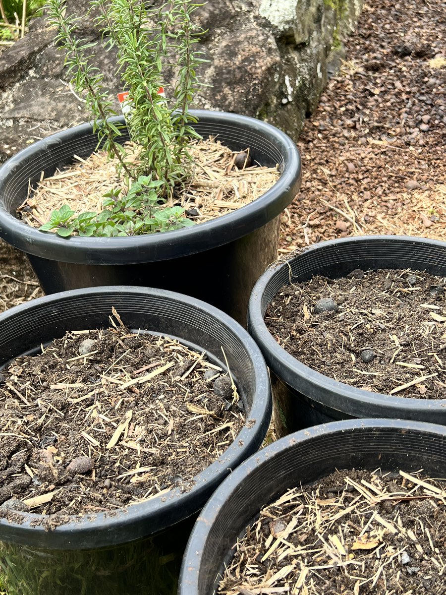 What a wild week it's been! Time to touch dirt.🧑‍🌾