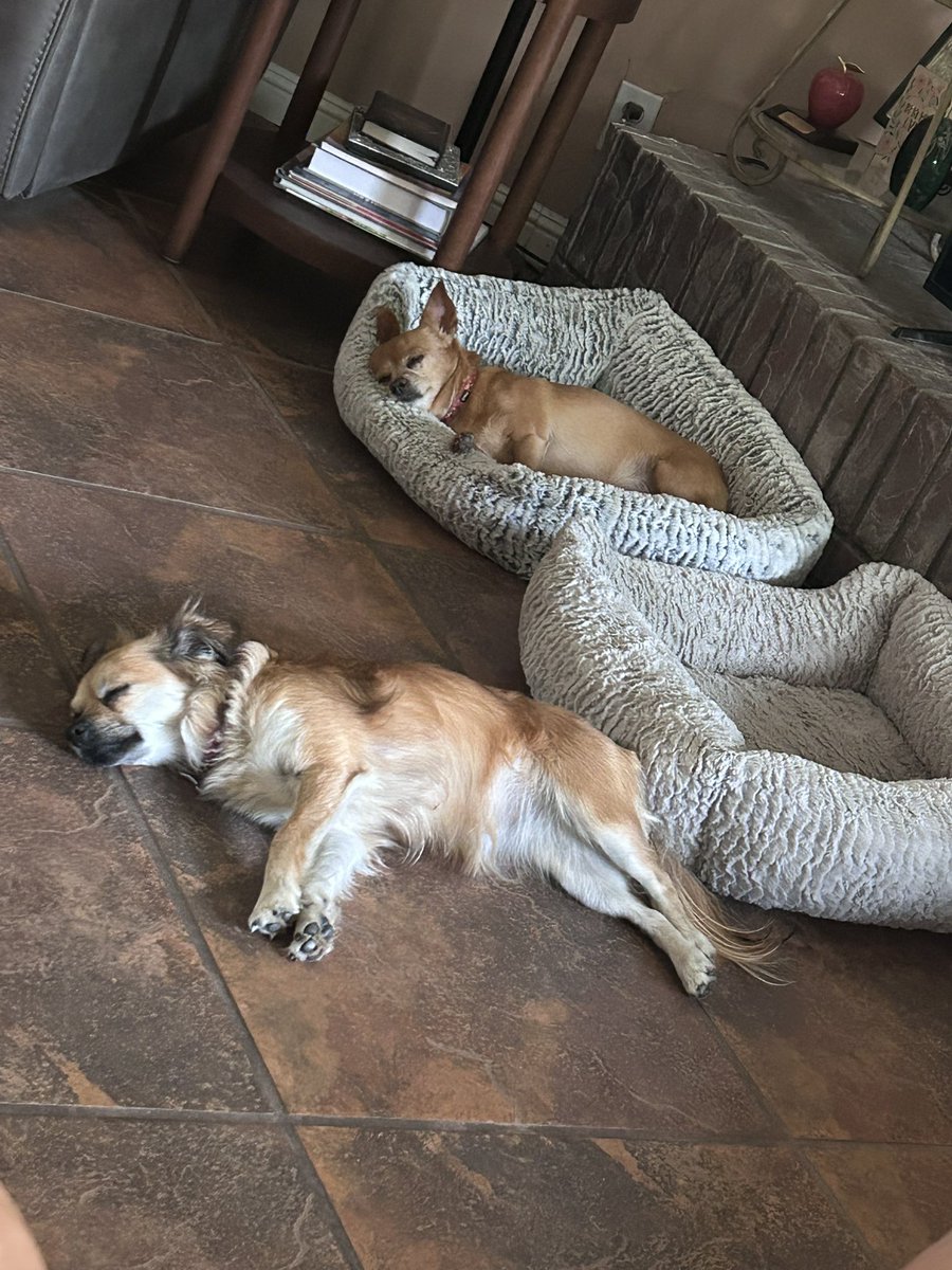 kkofcal's tweet photo. @OfficialOPLive We’re chilling out with some good A/C in Bakersfield, California https://t.co/QO8rQg5EDo