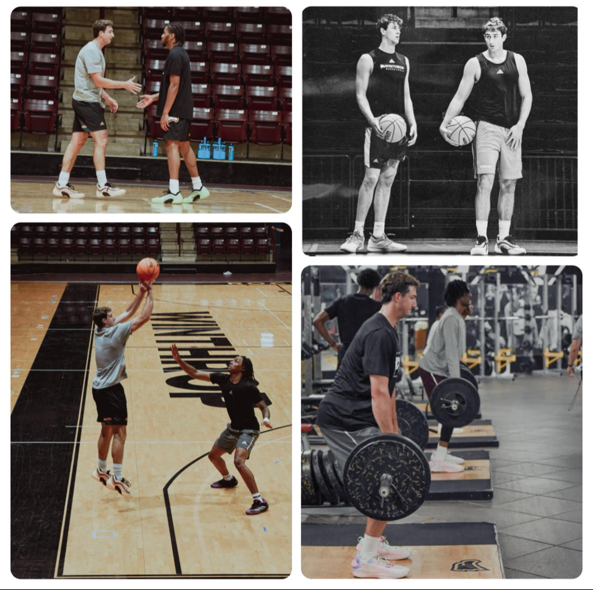 Eagle Debut #7: Meet Kody Clouet! The California native averaged 8.9 PPG, 2.7 RPG, and 1.0 APG, shooting 33.5% from the field and 32.4% from deep last season with the San Diego Toreros.

A proven scorer and sharp shooter, Kody brings high IQ and leadership to the Eagles!