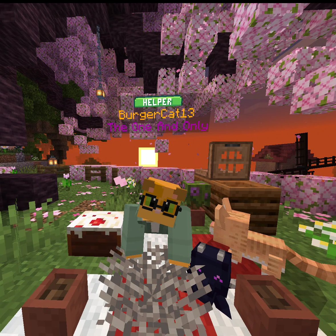 Congratulations to BurgerCat13 on being July's Server Helper of the Month! 🎉
