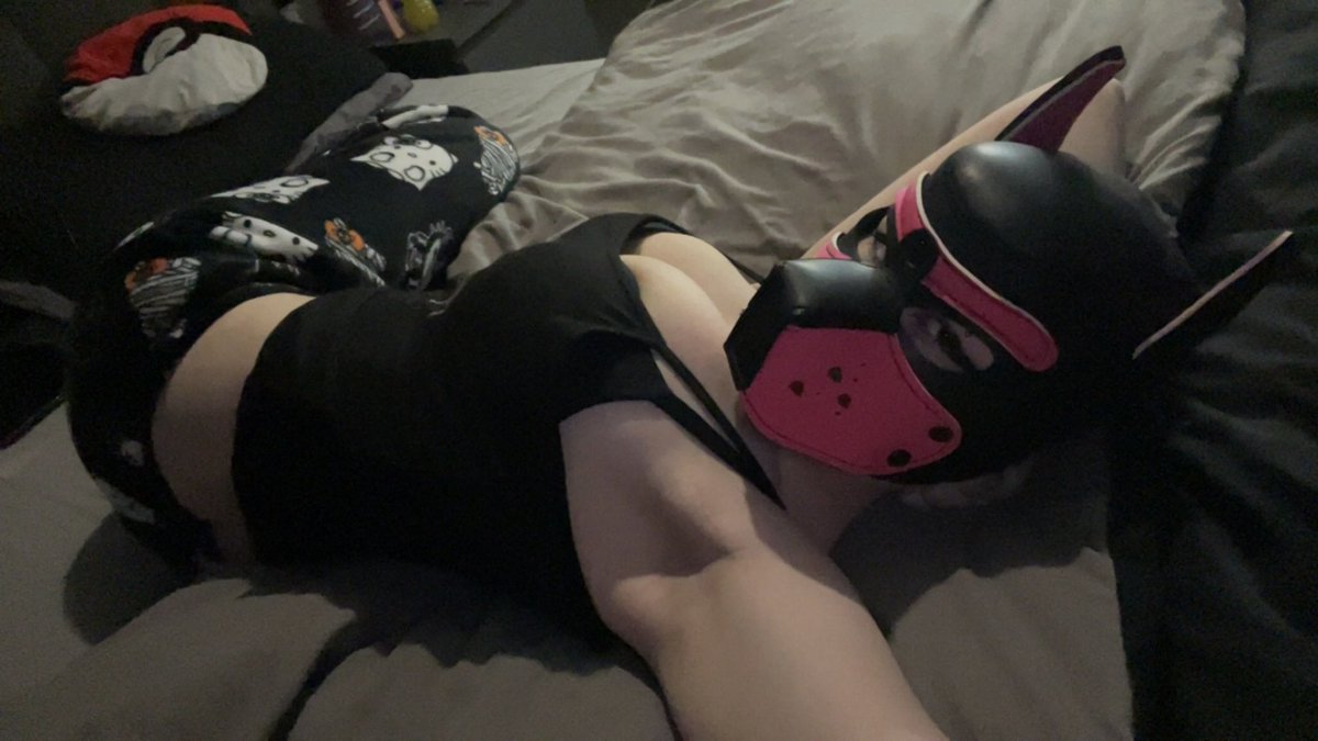 AD_Ddoggo's tweet photo. Pup moment
Need some head scruffs fr🙏
#furrynsfw #puphood #pupmask https://t.co/ckZEjvdgmj