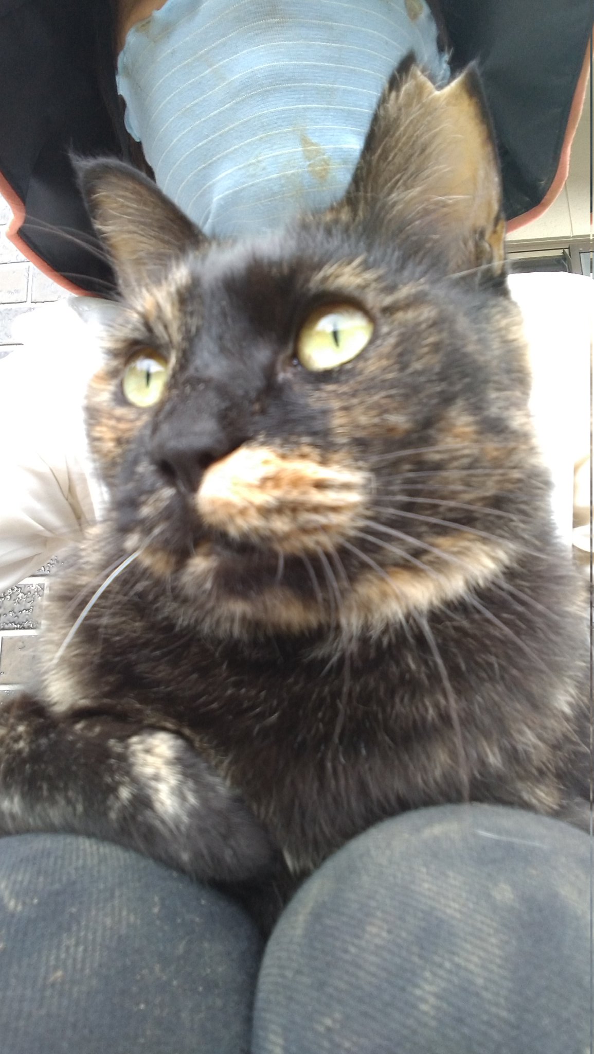 taro(JIRO💕taro)exGLAY (@j_i_r_o_l_o_v_e) / X