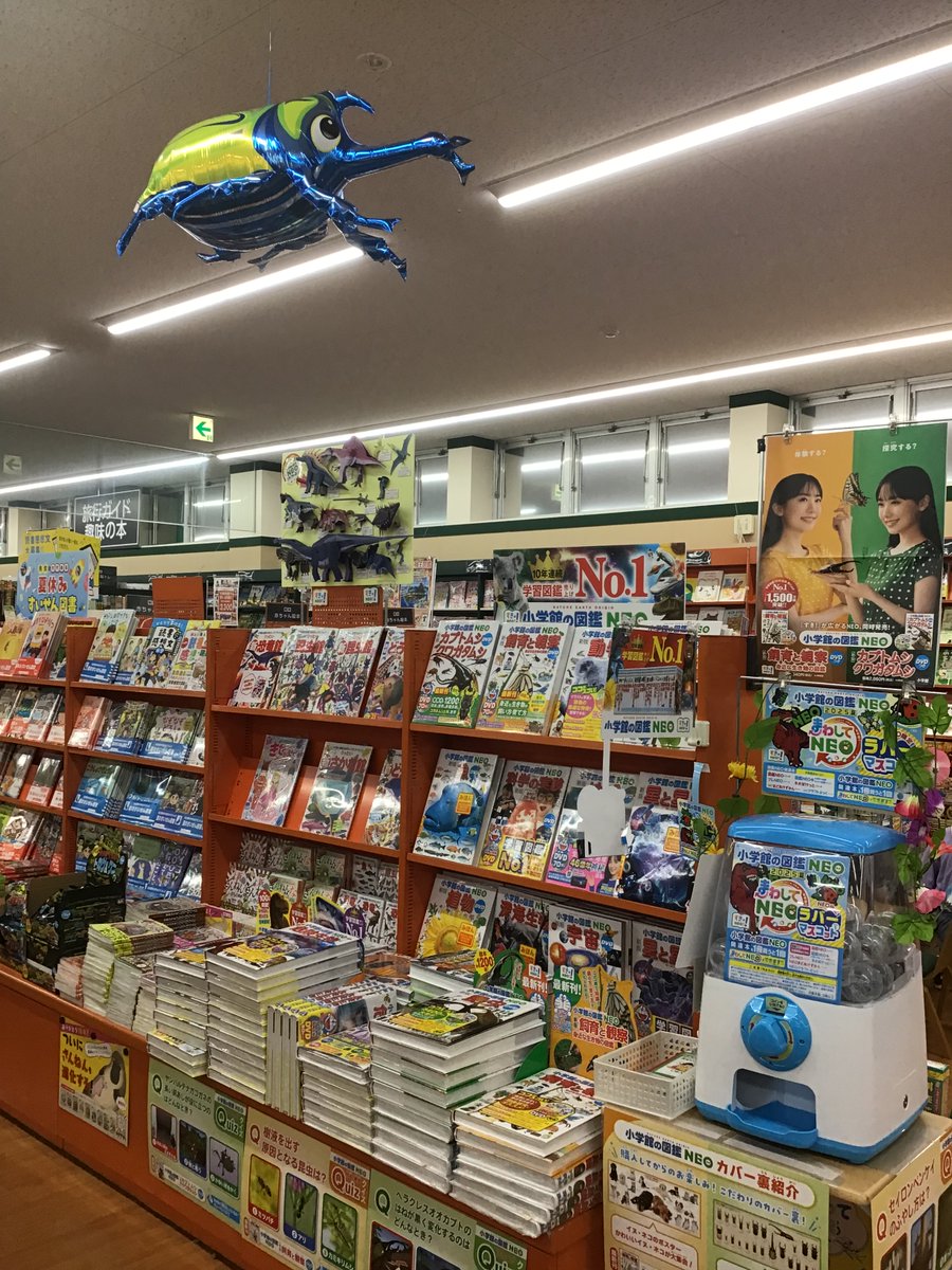 🦕図鑑フェア開催中🦕／ 各種図鑑取り揃えております！ 小学館図鑑NEO